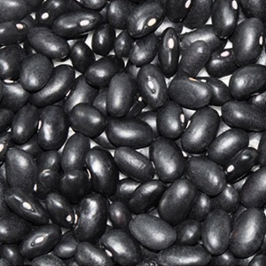 Black Kidney Beans