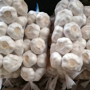 Fresh Garlic